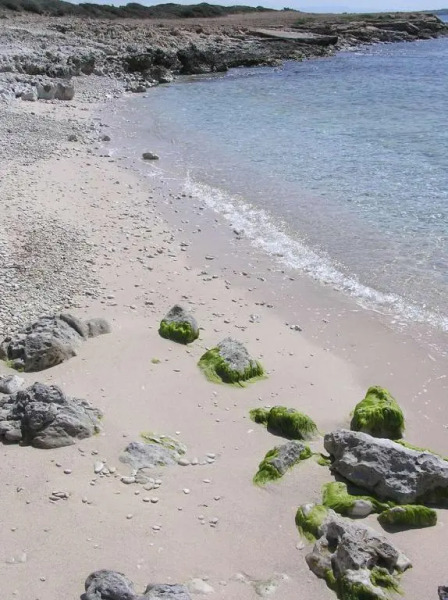 Casa Minicapo Mandriola