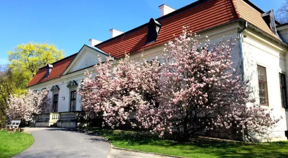Pałac w Oborach