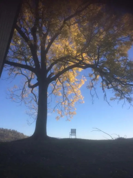 Tjonnas Farm Stay