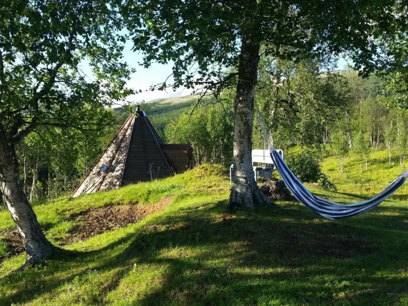 Ufocamp