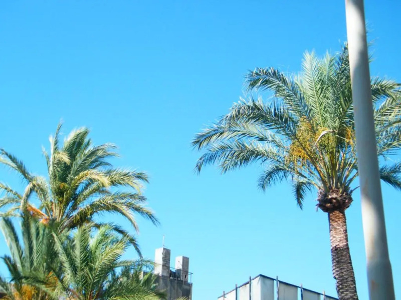 Appartamento Vacanze I Provenzali