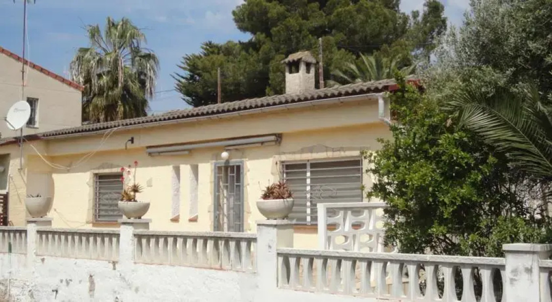 Anforas Mar Sorpresa