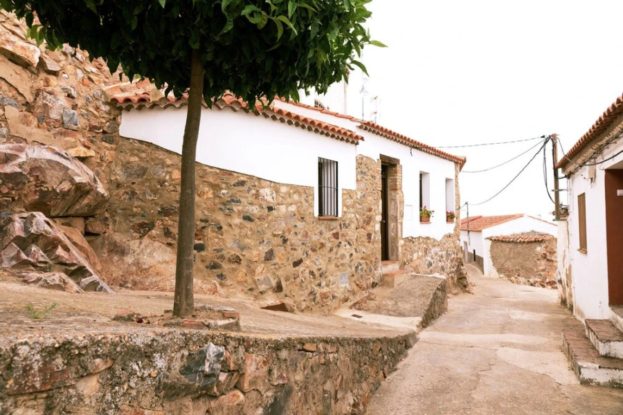 Apartamento Rural Castillo de Magacela I