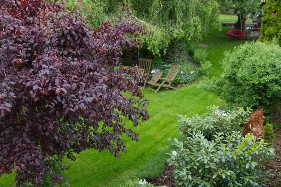 Saarlouis, Ortsteil Beaumarais "Anna's Cottage"Bed&Breakfast "#TravellerAwards 2022"