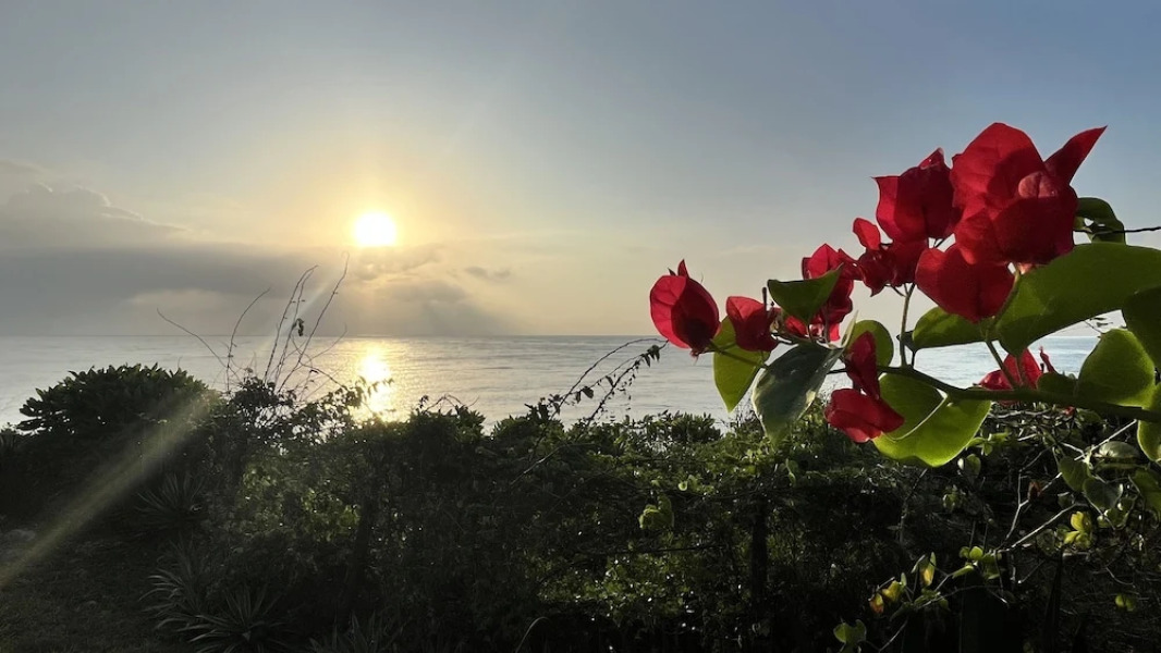 Room in Guest Room - Eagle Suite 38m2 in Villa 560 m2, Indian Ocean View