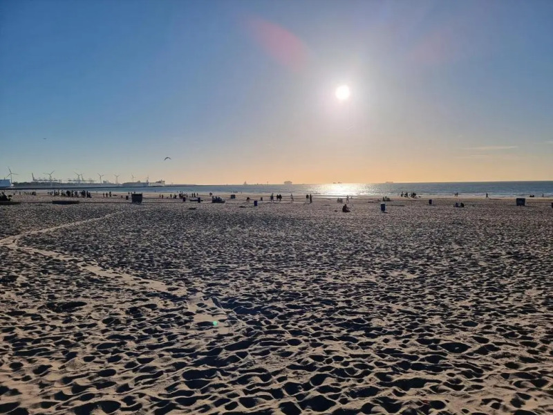Lazy cabin near Hoek van Holland beach