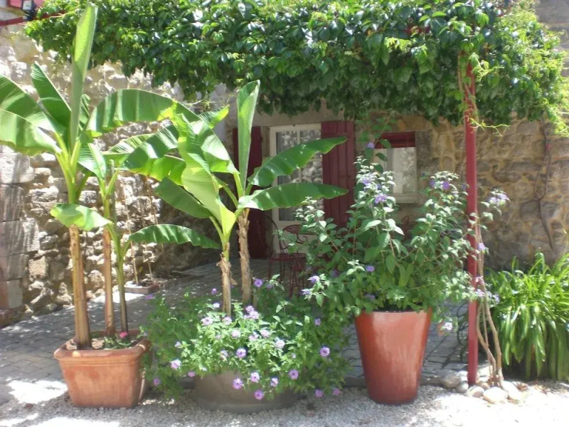 Moulin De Courlas - Chambres d'hôtes