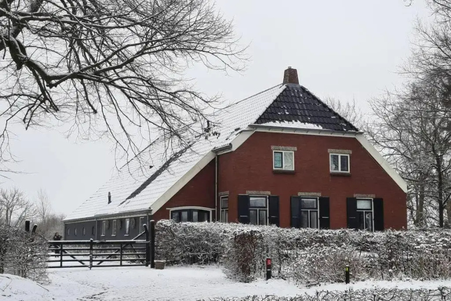Chalet Het Wollinghuisje