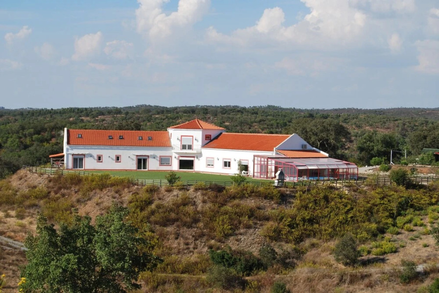 Buddha Peaceful Oasis