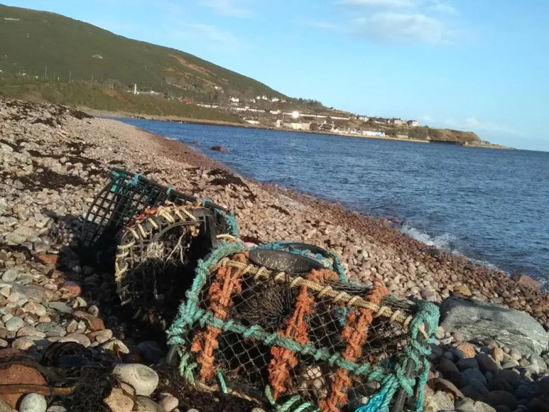 The Tall Pines Studio