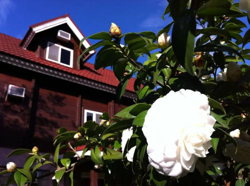 CRYSTAL RESORT - Continental Club