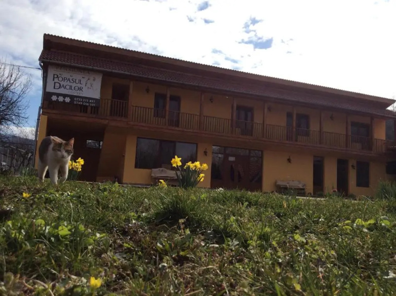 Pensiunea Popasul Dacilor