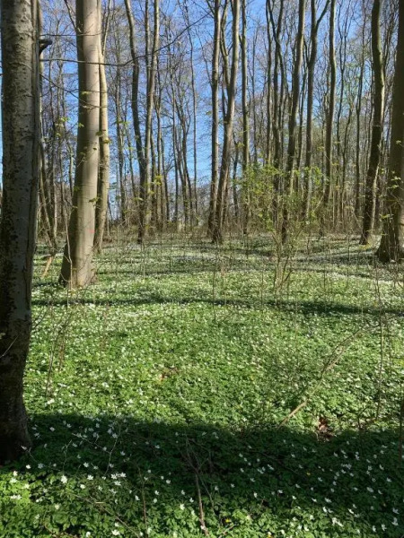 Schloss Lelkendorf, Fewo Hoppenrade