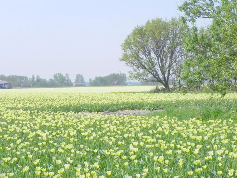 Appels en Peren Bed and Breakfast