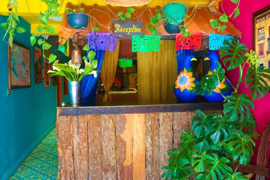 Hostel Casa Di Gladys