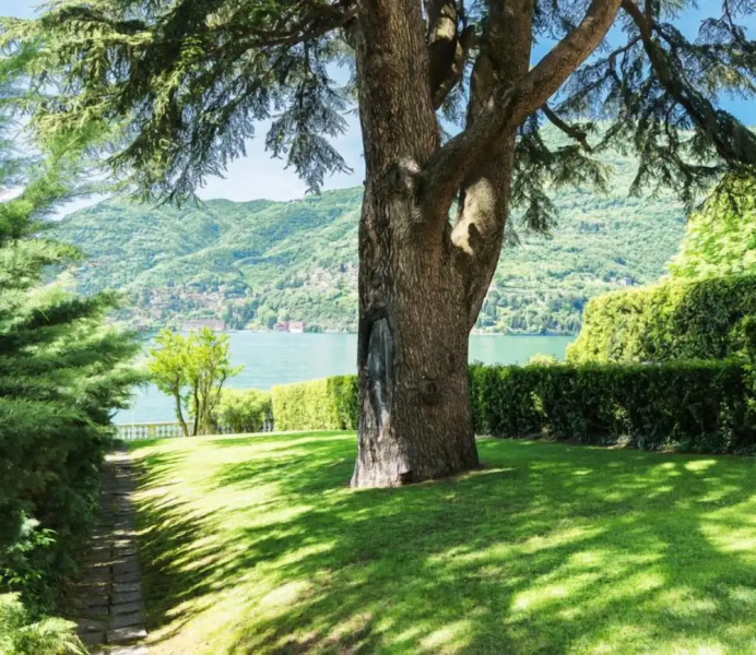 Il nido di Villa Cademartori