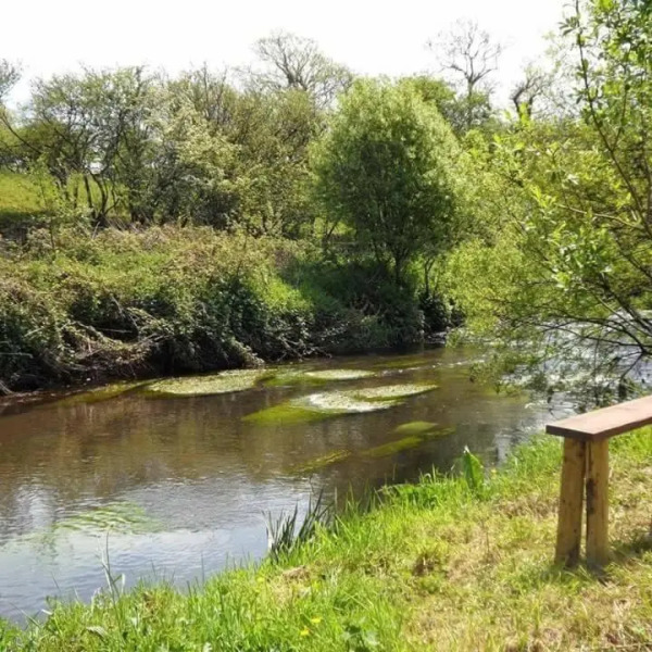 The Reindeer Retreat Daisy Double