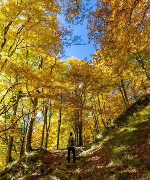Appartamento Dimora in Piazza -Locazione Turistica Santa Maria Maggiore