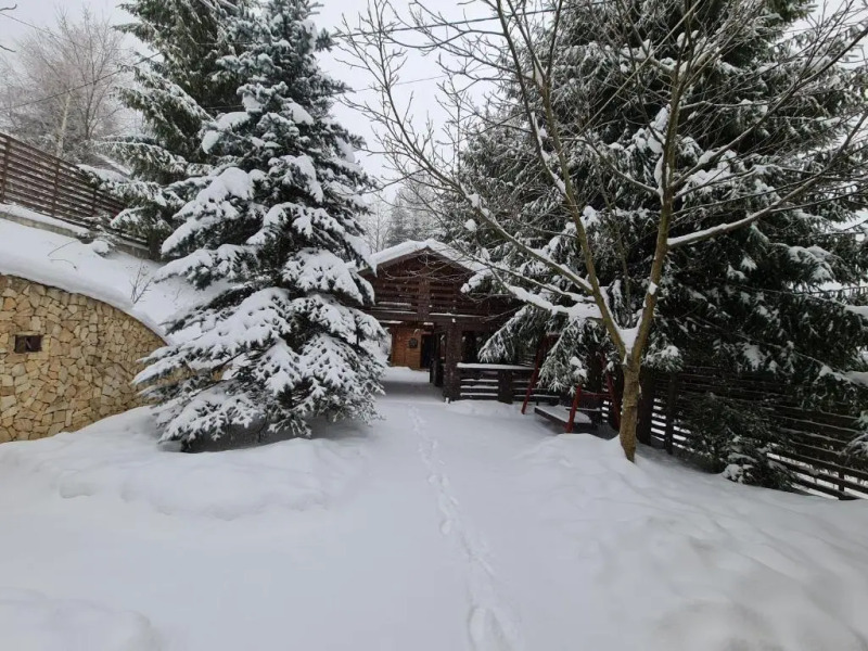 Cabana Viking Colibița