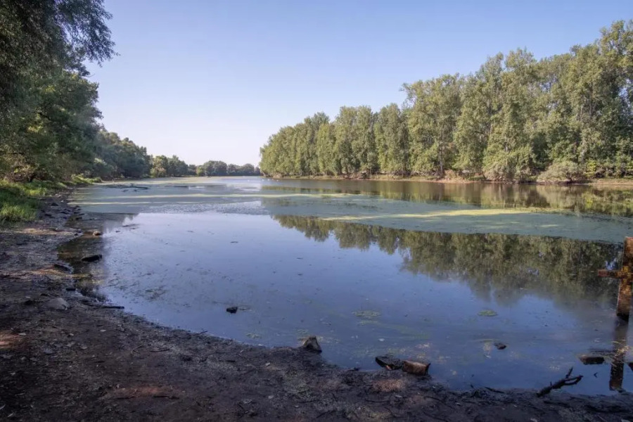 Schöne 2 Zimmerwohnung mit UHD-TV, großem Balkon und Hängematte