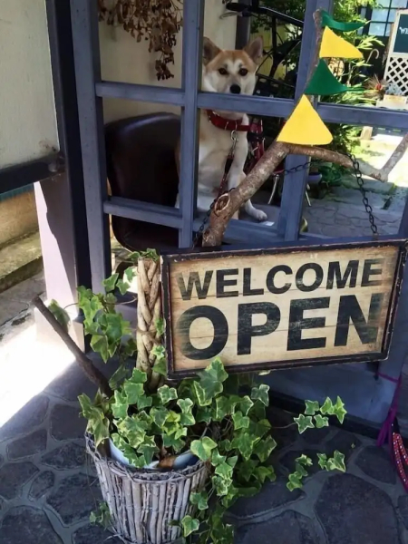 Yasuragi Guest House & Bar