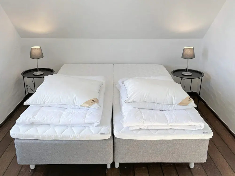 5 Star Holiday Home in Skagen