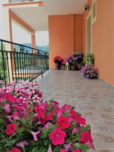 Ziogas Luxury Apartment's