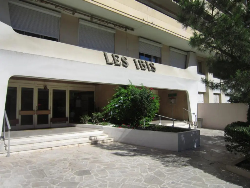 Les Ibis