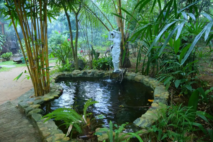 Walawa Blue Sapphire