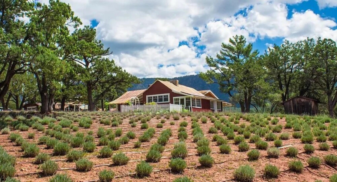 Pine Cabin With Sweeping Views! Private, Peaceful Getaway! Fun for Family! by Redawning