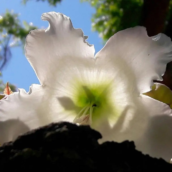 Tiwani Sunset, a Little Piece of Eden