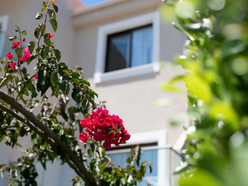 Eva Mare Hotel & Suites -  Adults Only