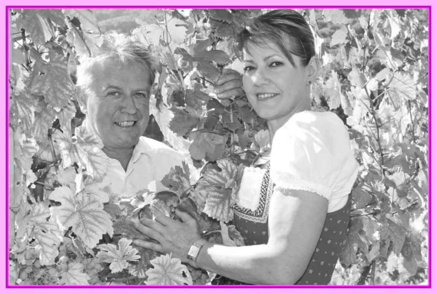 Gästehaus & Heuriger Turm Wachau