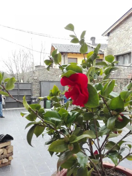 Hotel Rural Cal Miquel