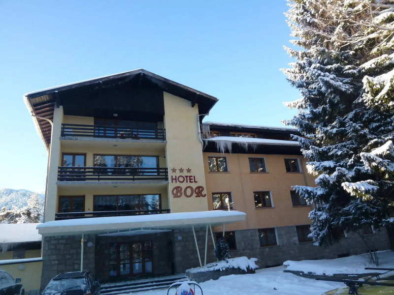 Hotel Bor