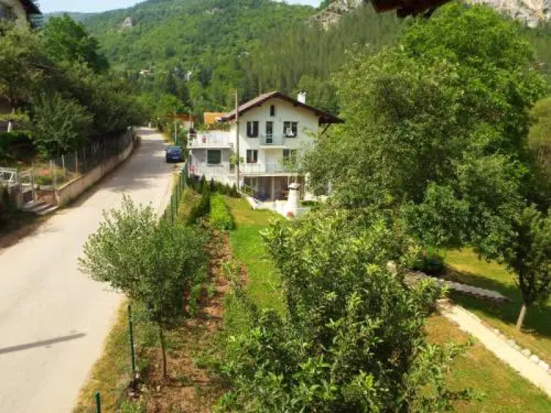 The Illuminating House