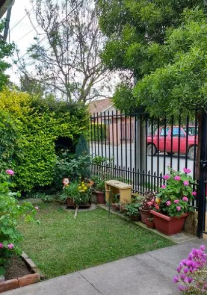 Casa Roble Añejo Bed & Breakfast