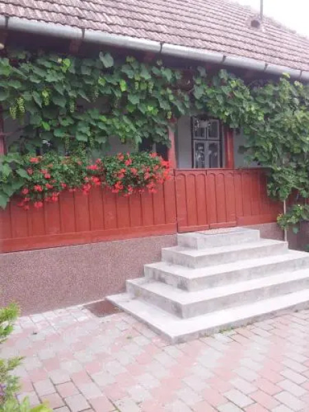 Căsuţa Andrey & Dan