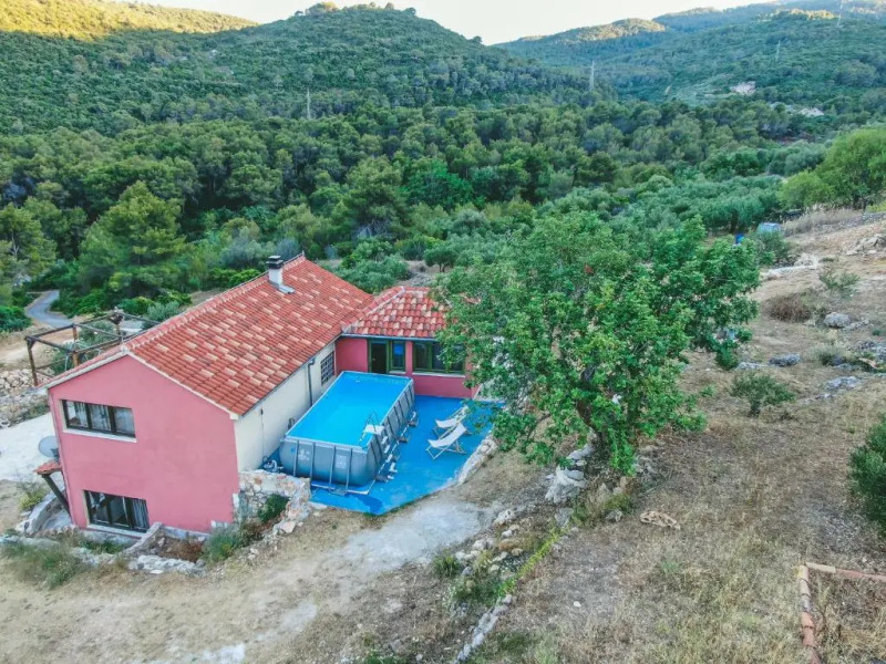 Olive Hill Family House