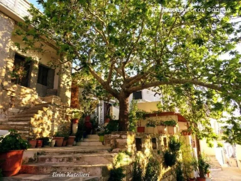 Fasolas house 2 is located 30 stairs up from the main road and it is in the old market fasolas and next to the museums