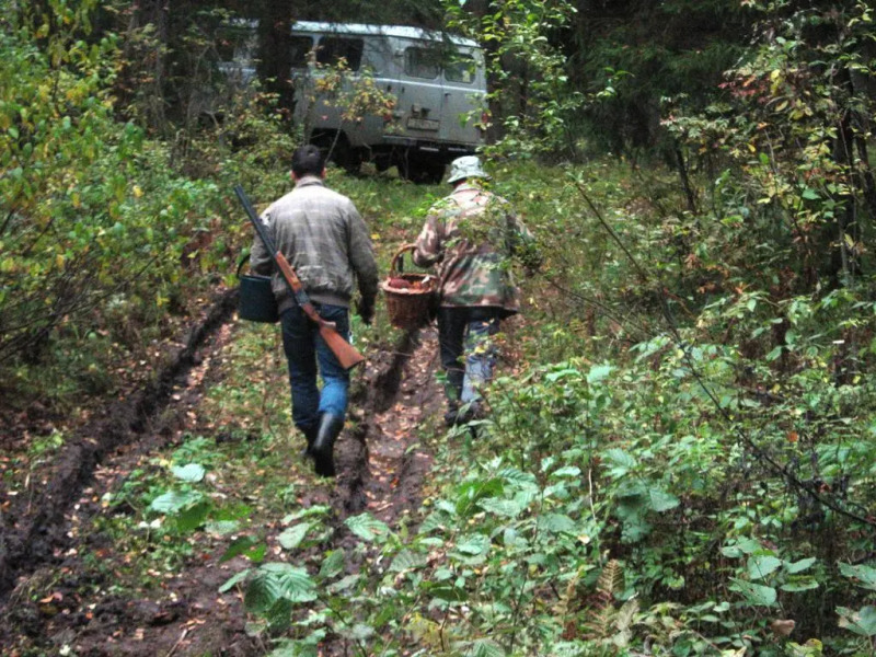 Semeinaya Baza Medvejia Kara