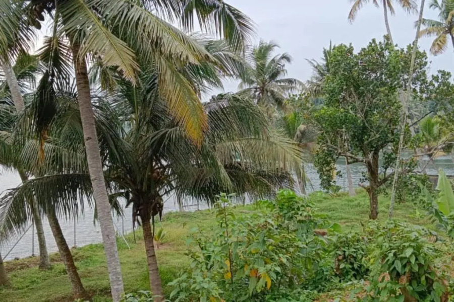 The Paro Homestay Ashtamudi