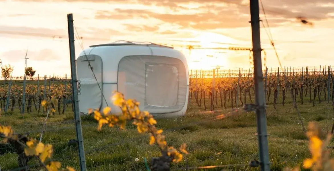 Romantik zwischen Weinreben - Cube
