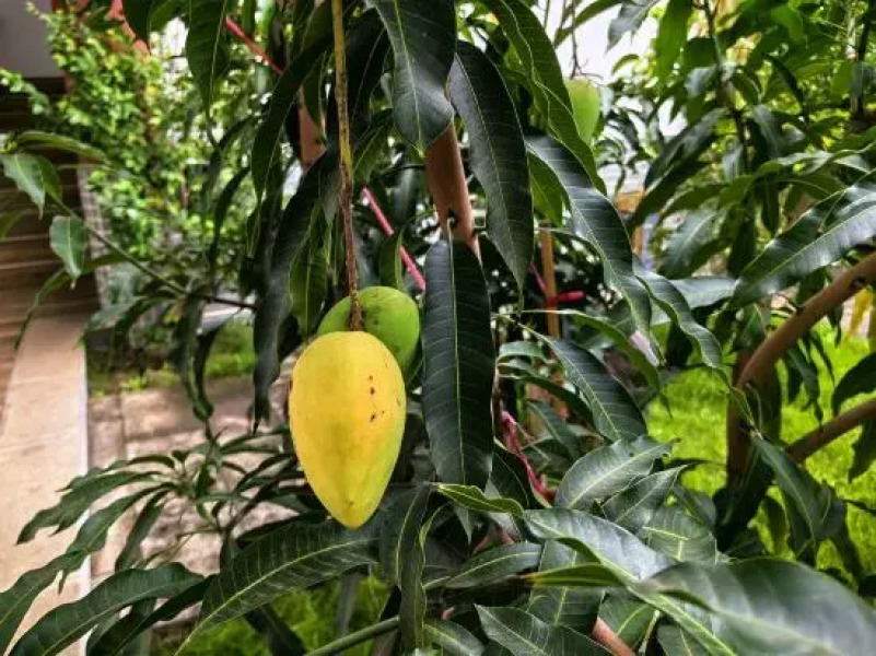 Wanyu · Qingxu | SEADESIGNER · VIEW Designer Meisu Hotel (Shiping Ancient City Branch)