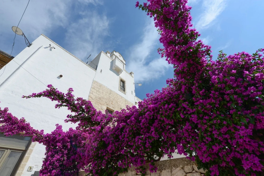 Masseria Lamiola Piccola
