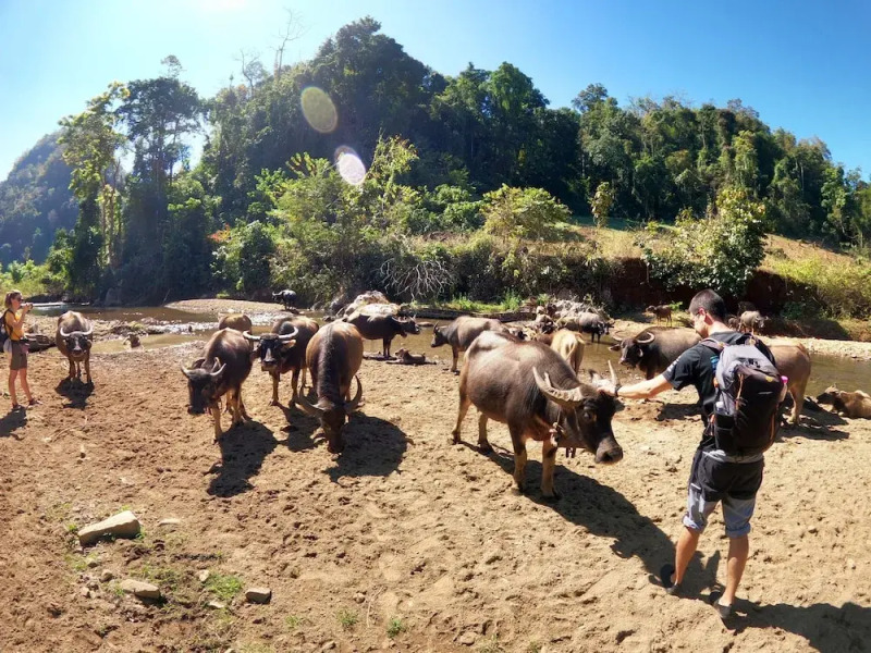 GJ TOUR and HOME STAY