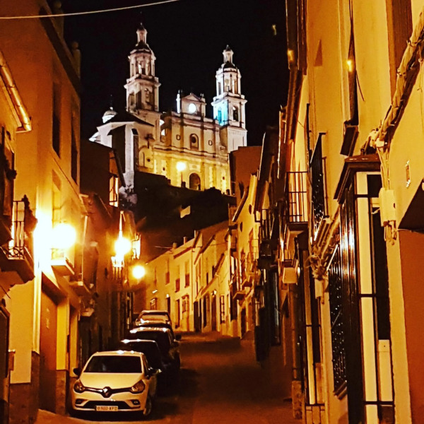 Olive Tree Bed and Breakfast