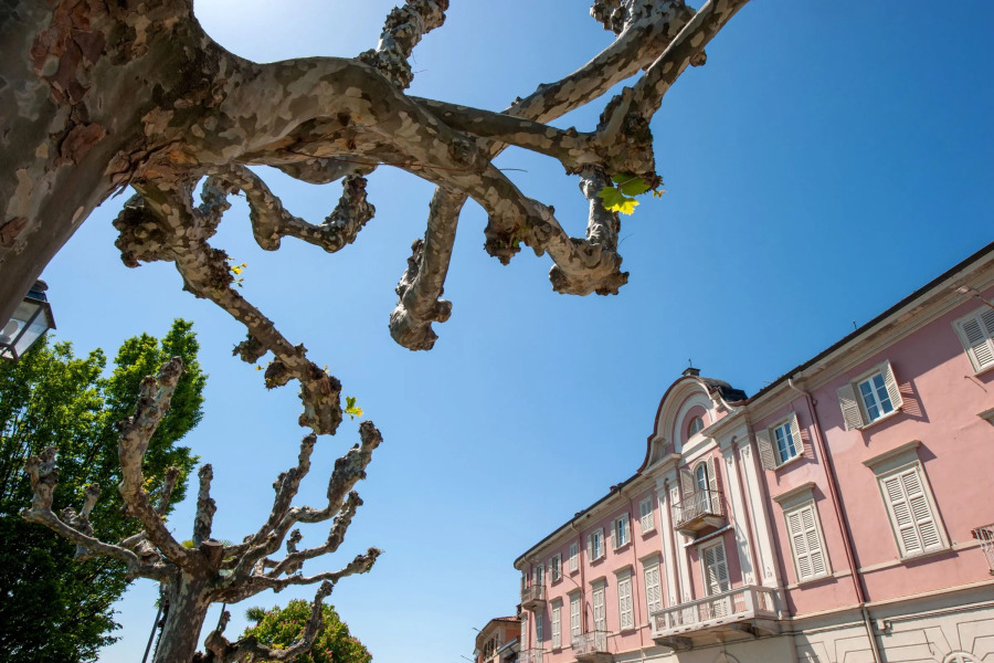 Paradis Relais Infinity Pool View
