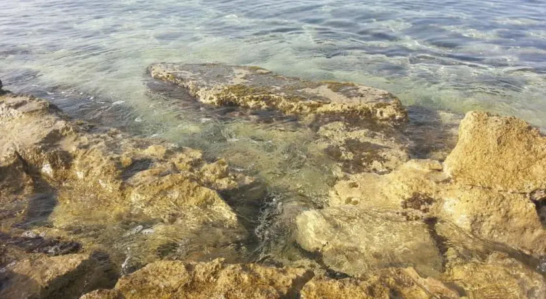 B&B La Stella Marina