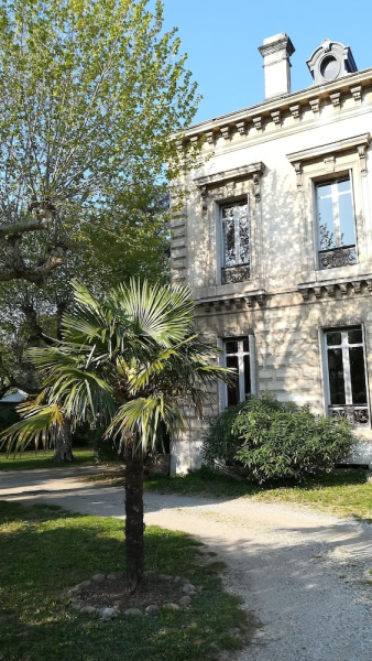 Les palmiers de mauves